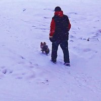 Апрель.....Утро снежное! :: Владимир 