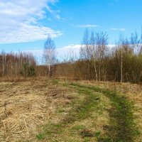 Дорога рыбаков по берегу Днепра. :: Милешкин Владимир Алексеевич 