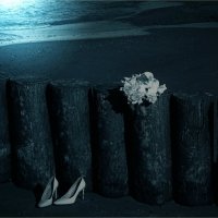 Свадьба на Балтике :: Виктор 