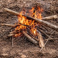 Костерок :: Денис Бочкарёв