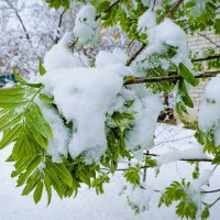 19 Апреля 2017 года город Белгород ... :: Ravile 