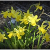 *** :: Aleksandr Gal