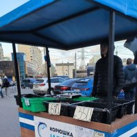 Примета петербургской весны. :: Ольга 