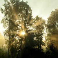 Утро ;-) :: Алексей Пышненко