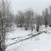 Снегопад :: Anna Ivanova