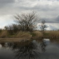 *** :: Александр Бекетов