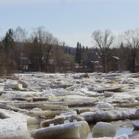 Ледоход :: Нина северянка