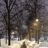 Долгая прогулка. :: Alexandr Gunin