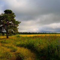 Одиночество :: Владимир Гришин