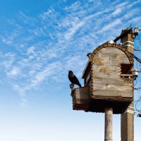 Где же моя черноглазая, где..? :: Андрей Щетинин