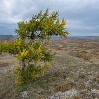 Однажды осенью :: Сергей Герасимов
