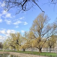 «Весна в городе. Апрель’26» :: Арина Невская