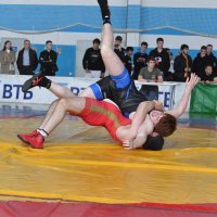 Опасный момент! :: Александр Гриднев