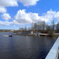 По реке Ижоре :: Мария Васильева