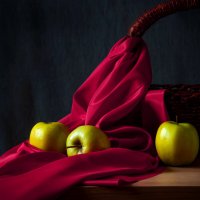 ... :: Елена Пономарева