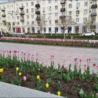 Весенняя улица! :: Надежда 