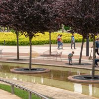 Парк Галицкого в городе Краснодар :: Игорь Сикорский