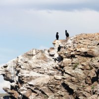 Байкальские зарисовки :: Любовь Сахарова