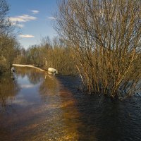 Вода поднялась и переливает через дорогу :: Сергей Цветков