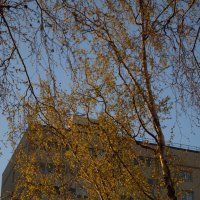 Утро понедельника! :: Anna-Sabina Anna-Sabina