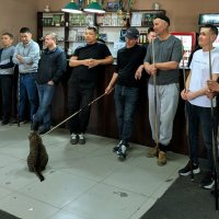 Играем :: Андрей Хлопонин