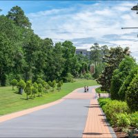 Весна :: **** vedin