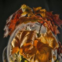 Вспомнил осень. :: Владимир Владимир