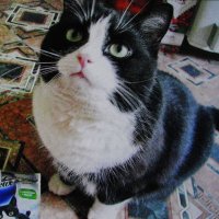 Я есть хочу :: Людмила Смородинская