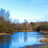 Весна в конце апреля (репортаж из поездок по области). :: Милешкин Владимир Алексеевич 