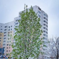 19 Апреля 2017 года город Белгород ... :: Ravile 