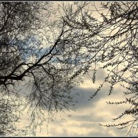 Прохладный апрель :: Aleksandr Gal