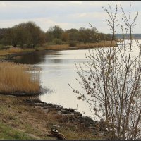 Апрель :: Aleksandr Gal