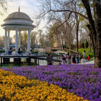 Весенние прогулки :: Сергей Мурзин