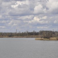 **** :: Виктор 