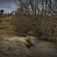 "Почки на ветвях в ожидании. К похолоданию"© :: Владимир Макаров