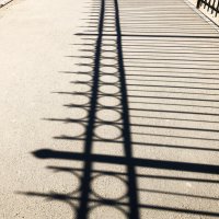 Фотография :: Денис Безногов