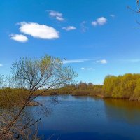 Апрельский пейзаж :: Галина Бобкина