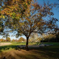 *** :: Николай Гирш