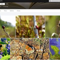 Фото из моей книги Песнь и плач и Матери-Земли! :: Владимир 