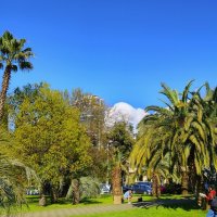 Сквер у морпорта :: Tata Wolf