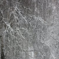 Утро нового дня :: Alisia La DEMA