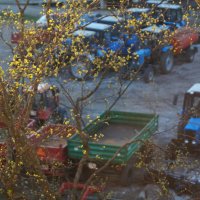 Техника готова к уборке улиц :: Anna-Sabina Anna-Sabina