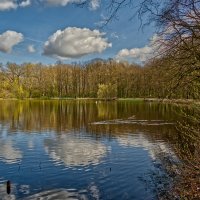 Пруд :: Jakob Dick