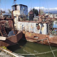 2. Организованный  хаос. Автор Саша :: Фотогруппа Весна