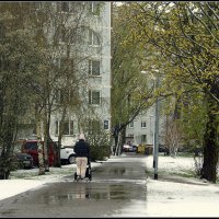 Зима не сдается :: Aleksandr Gal