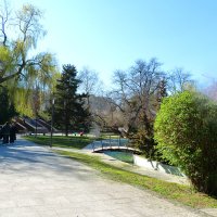 Весна  в горсаду :: Валентин Семчишин