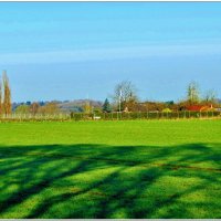 НА КРАЮ ПОЛЯ... :: Elvira E. 