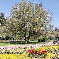 Almaty. :: Murat Bukaev 