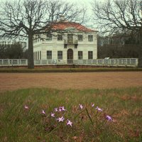 *** :: Сергей Григорьев