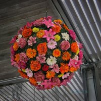 Фонарик. :: Argaman Табашник